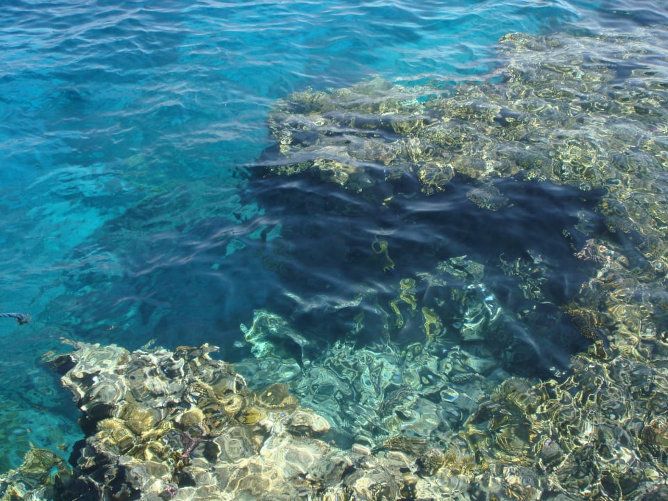 Korallen im Meer Hotel Xperience Sea Breeze Resort