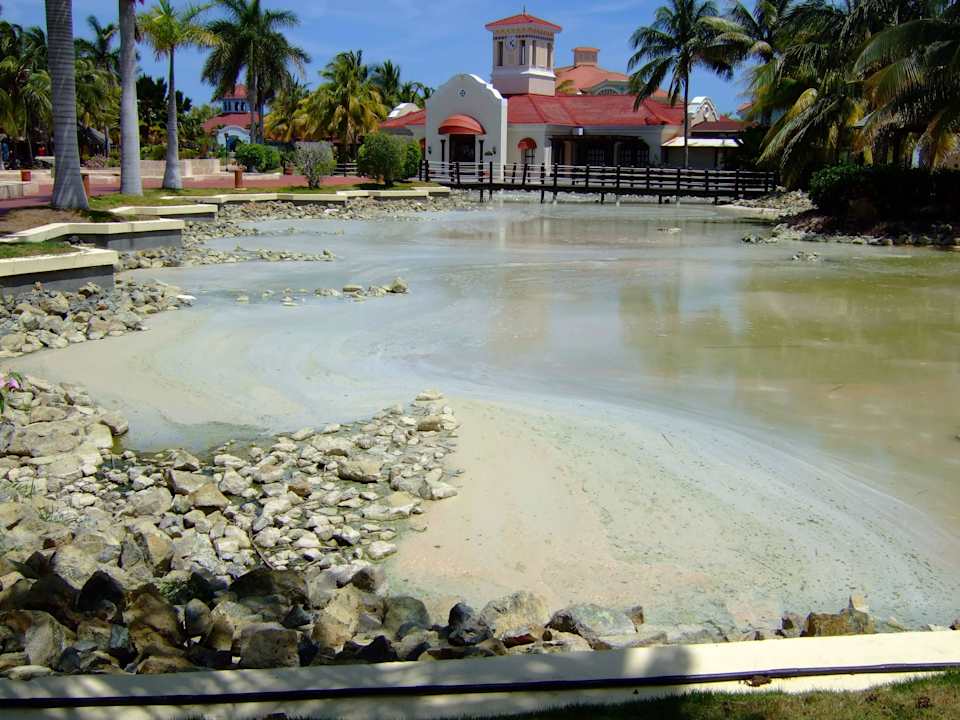 Veralgter stinkender Teich am Hauptrestaurant Iberostar Origin Playa Alameda