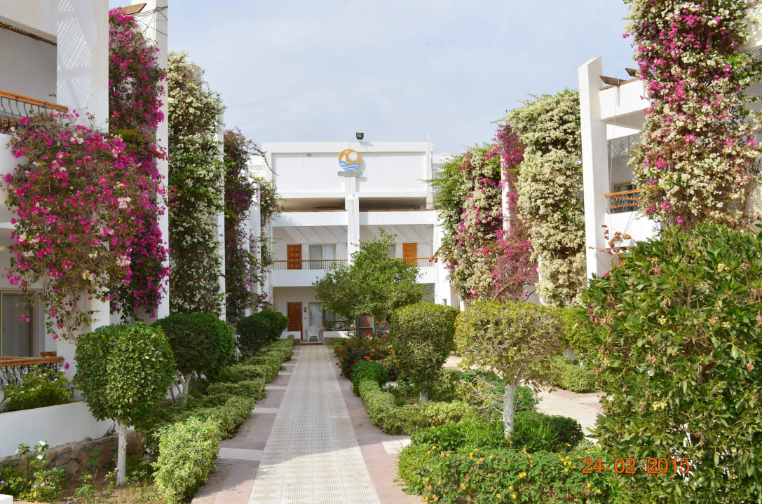 Цветник Menaville Safaga