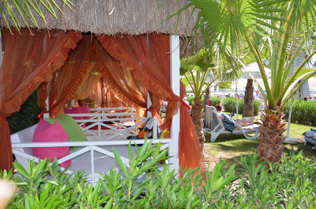 Balihütten Hotel Delphin Diva