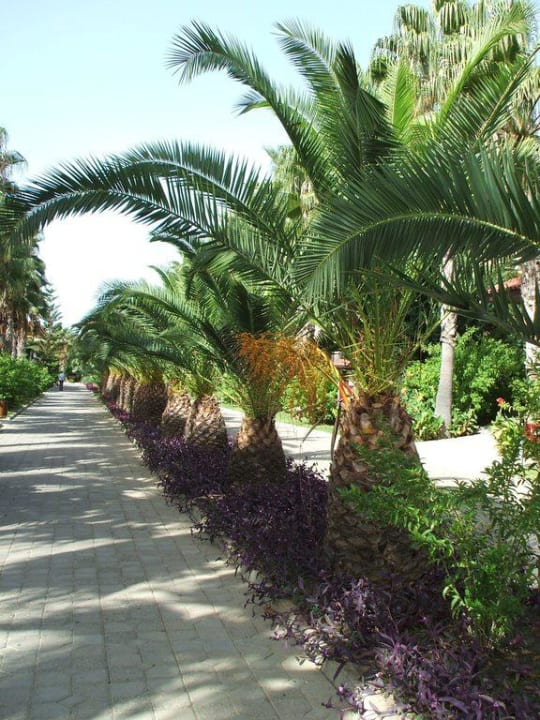 Weg durch die Anlage Club Grand Side