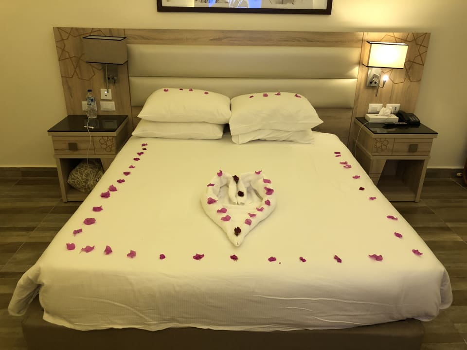 Zimmer Pickalbatros Aqua Vista Resort - Hurghada