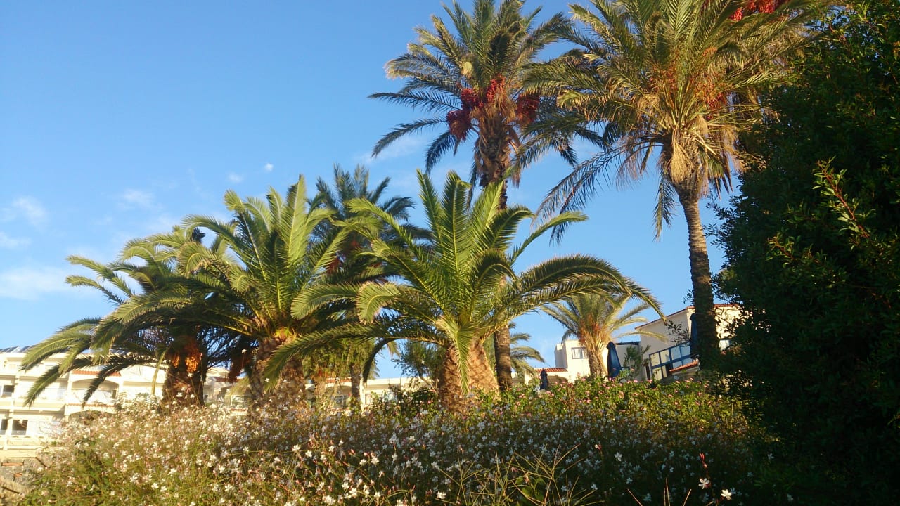 Gartenanlage Rodos Princess Beach Hotel & Spa