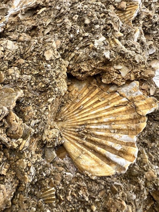 Strand Aldiana Club Andalusien