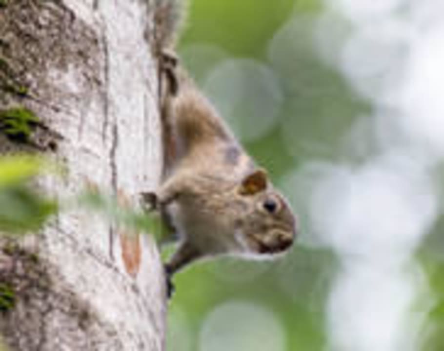 Flora und Fauna Villa Vollmond