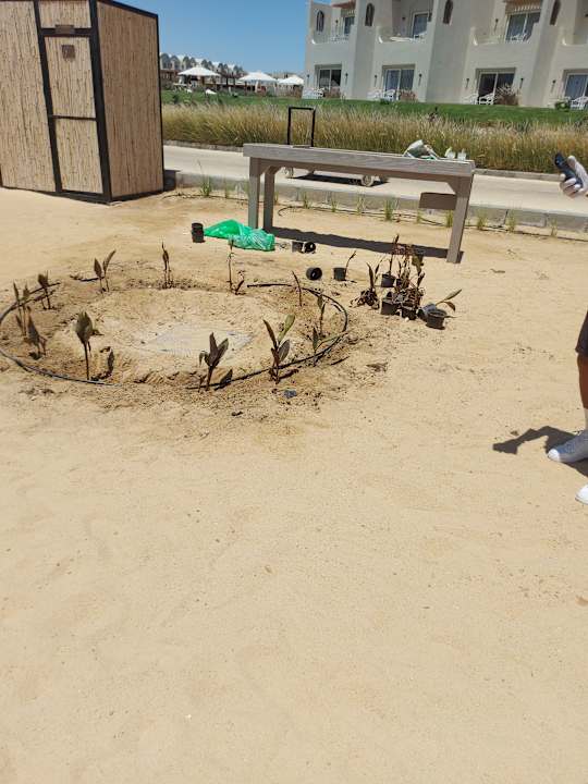 Sonstiges SUNRISE Anjum Resort Marsa Alam