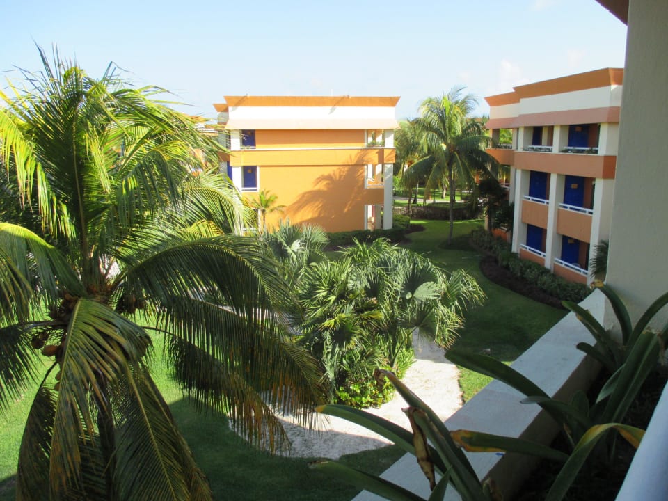 Viele Palmen Bahia Principe Grand Tulum