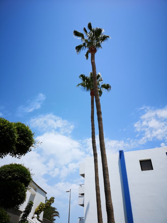 Pool Apartments Arco Iris