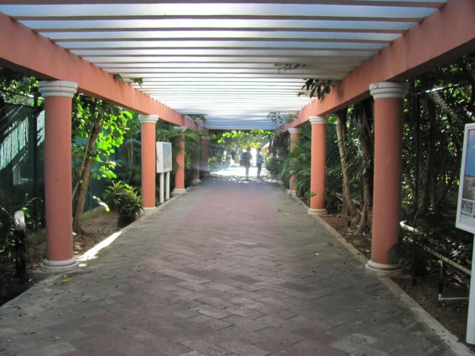 Weg zum Strand Hotel Riu Tequila