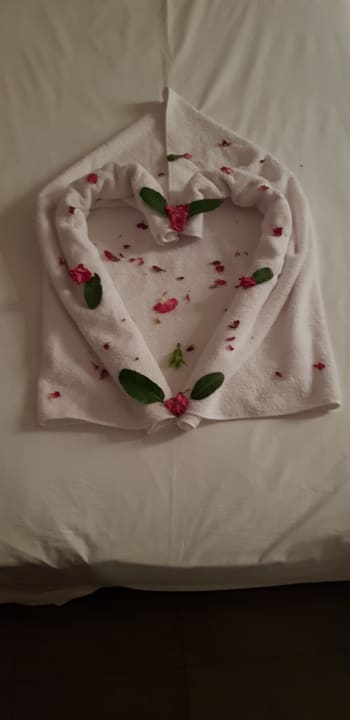 Zimmer Nozha Beach Resort & Spa