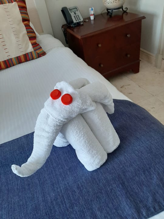 Zimmer Pickalbatros Palace Hotel-Port Ghalib