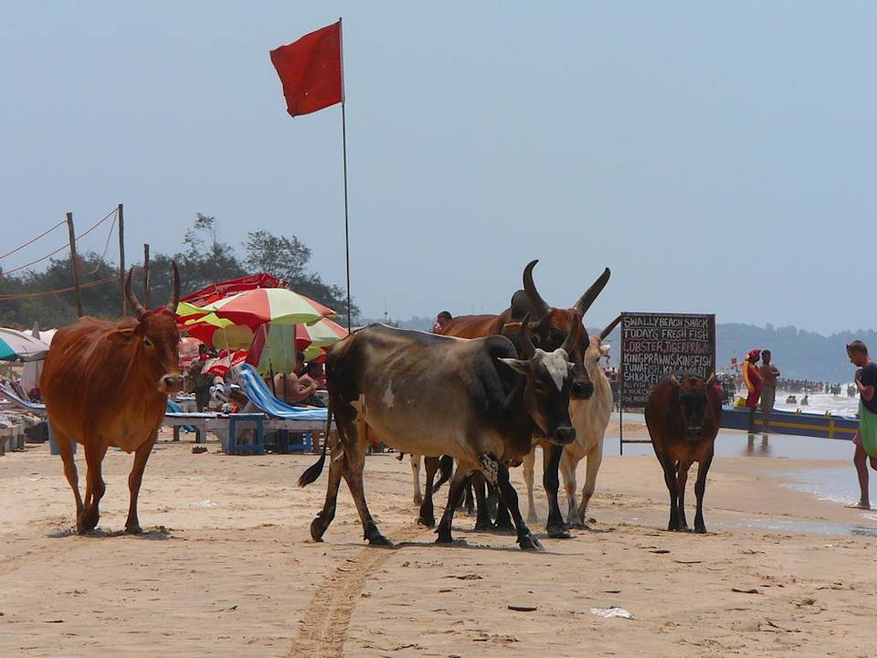 Strand Vila Goesa Beach Resort