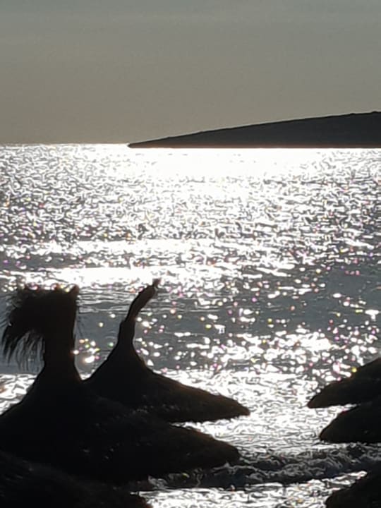 Strand allsun Hotel Borneo - Adults only