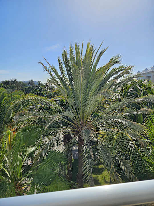 Ausblick Hotel Riu Palace Maspalomas Adults Only