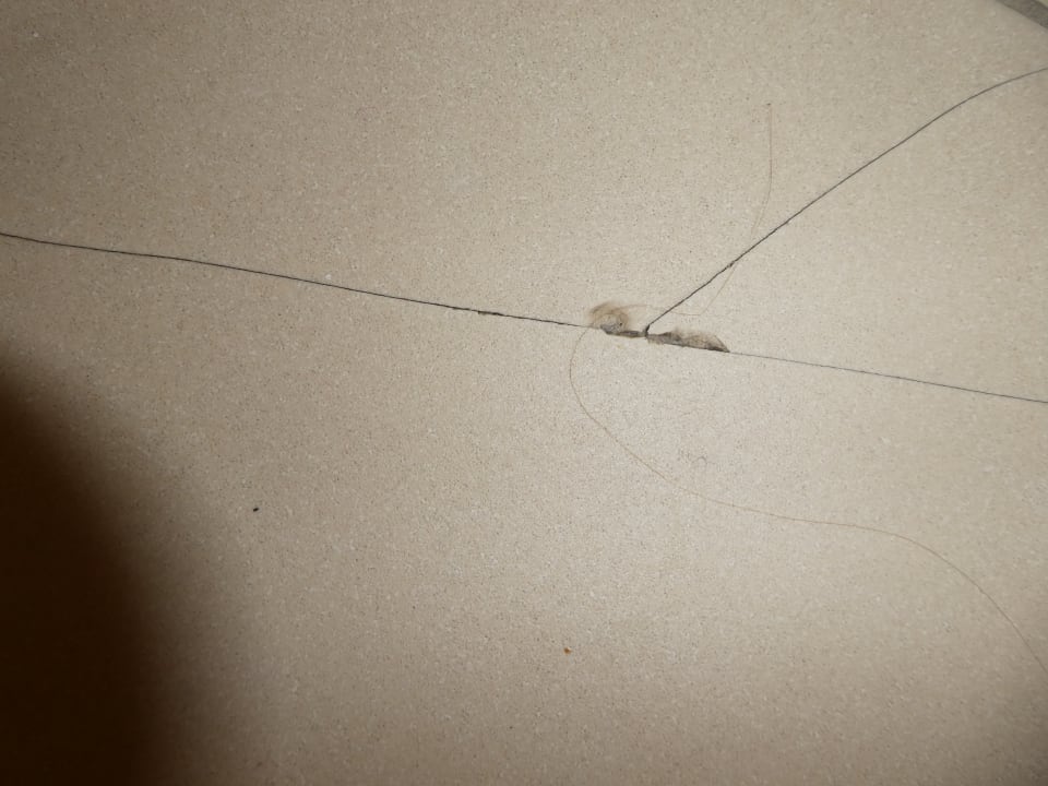 Zimmer Hotel Wyndham Garden Quedlinburg Stadtschloss