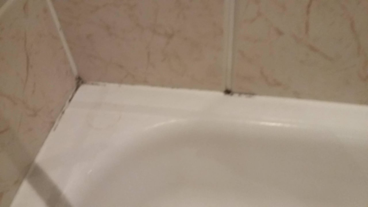 Schimmel Berghotel Hoher Knochen