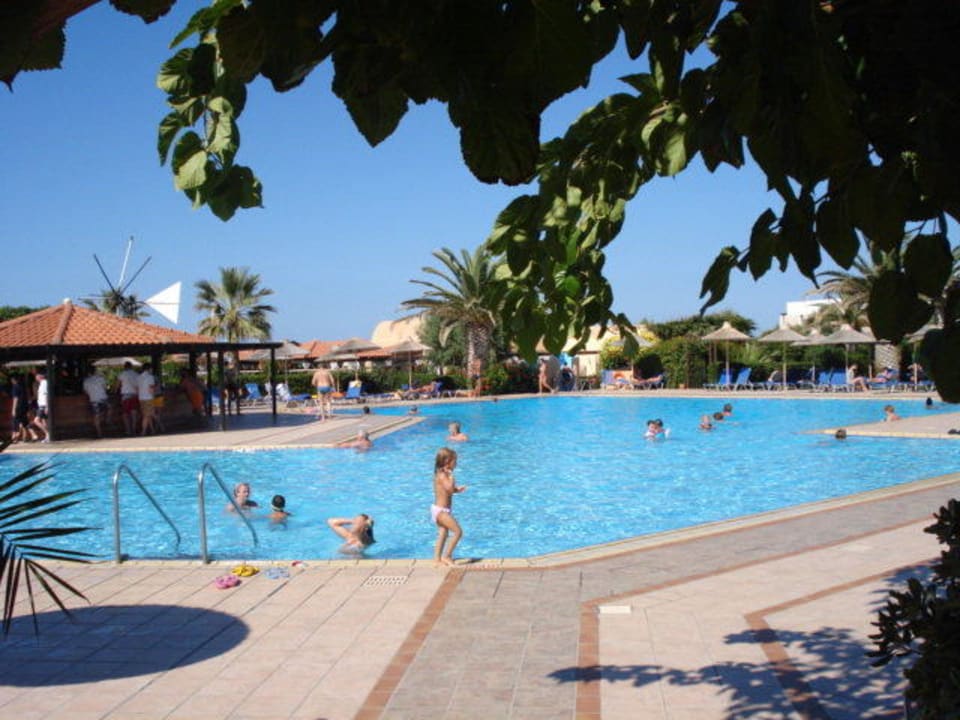 Pool mit Bar im Hintergrund Anissa Beach & Village