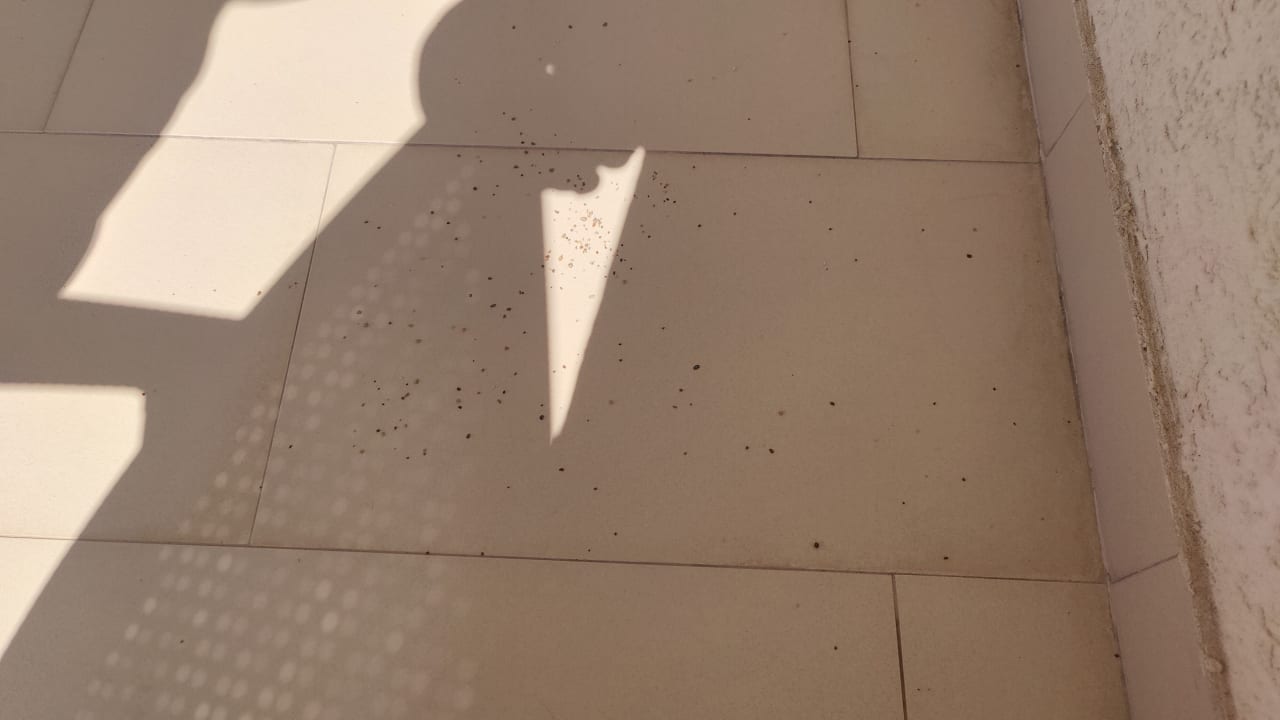 Zimmer Apart-Hotel Kuce Lekovica