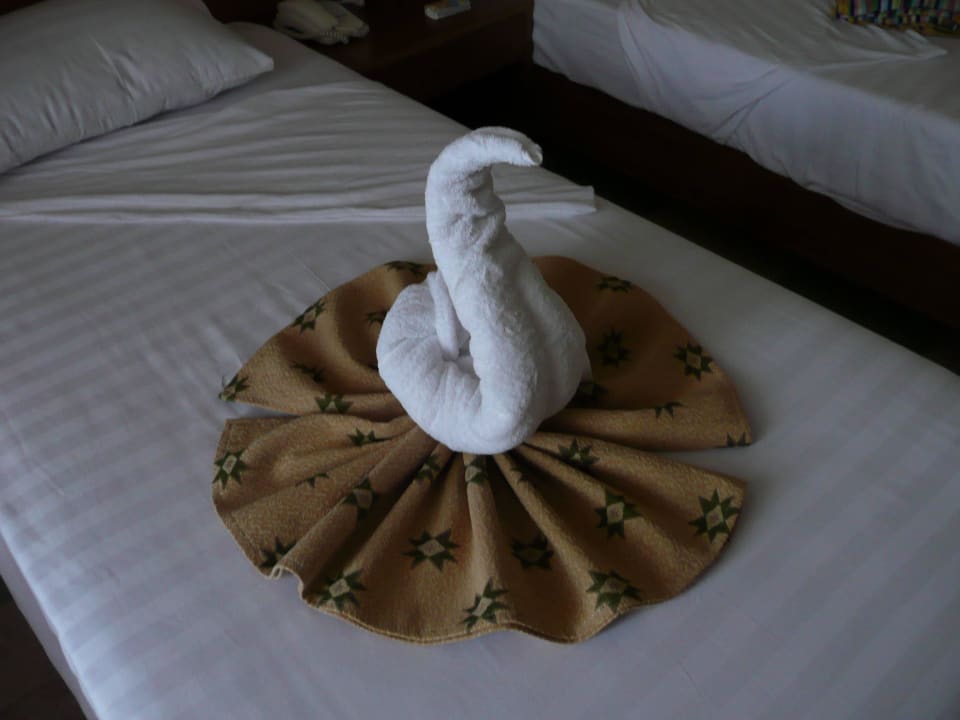 Ein Schwan Three Corners Equinox Beach Resort