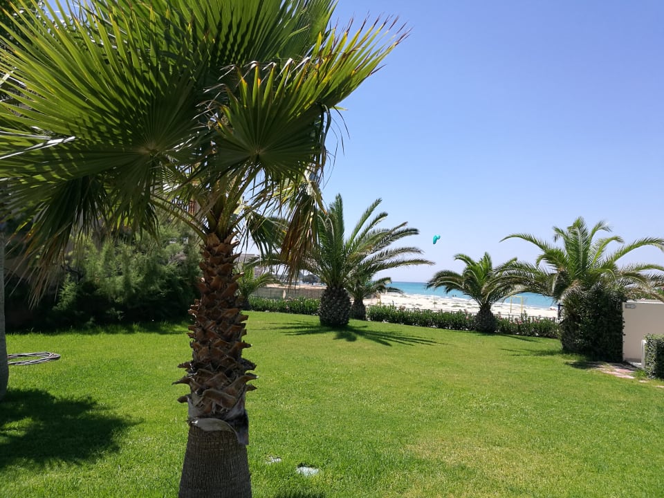 Gartenanlage Hotel Horizon Beach Resort