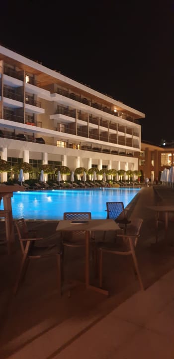 Pool Acanthus Cennet Barut Collection