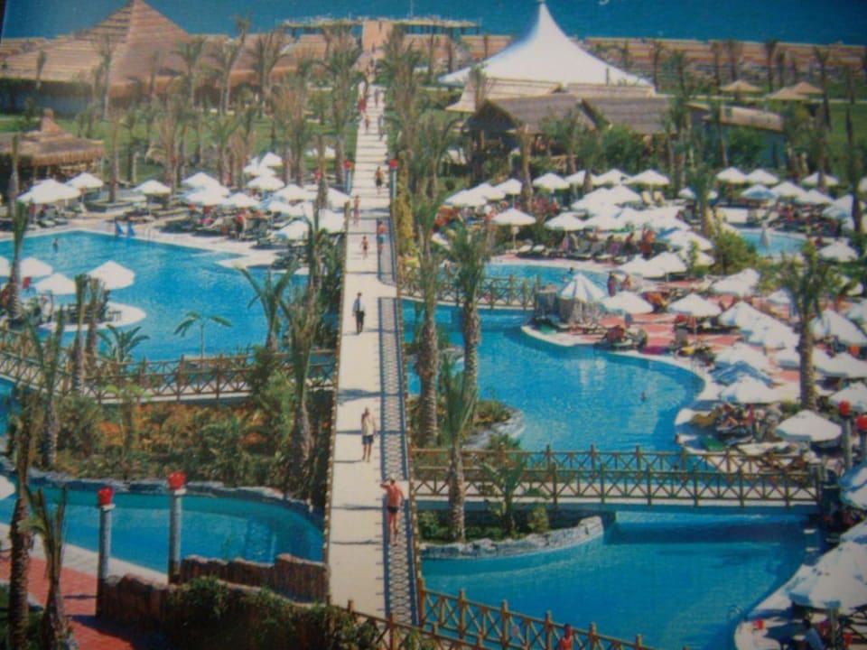 Die Poollandschaft Royal Wings Hotel