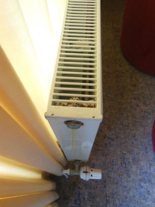 Heizkörper Panoramic - Ihr Apartmenthotel im Harz