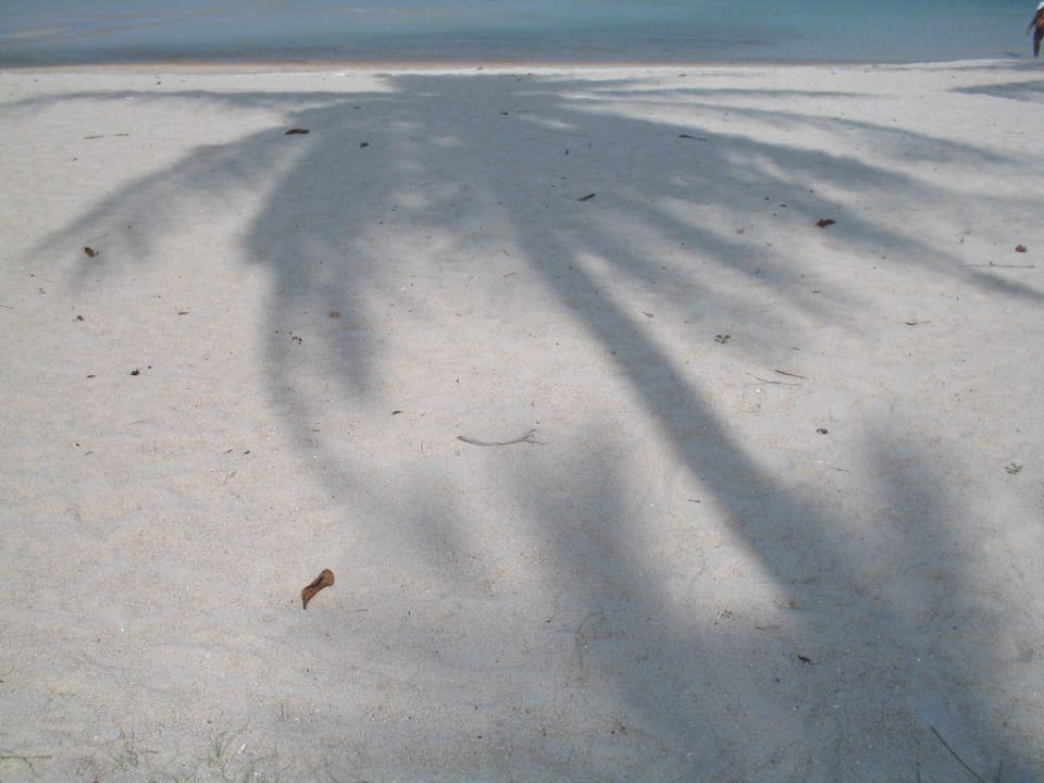 am Strand Impiana Resort Chaweng Noi