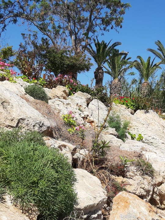 Strand Crystal Springs Beach Hotel