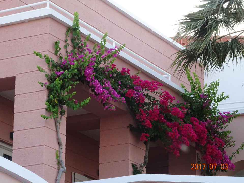 Sonstiges Mitsis Rodos Village
