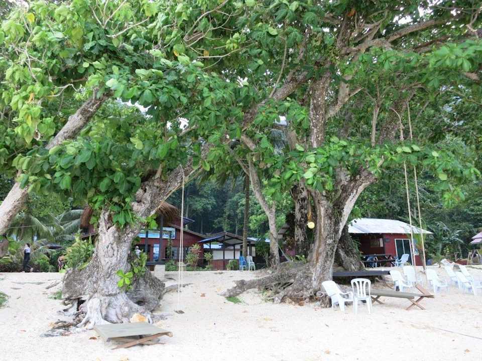 Blick vom Strand aufs Hotel Tenggol Island Beach Resort