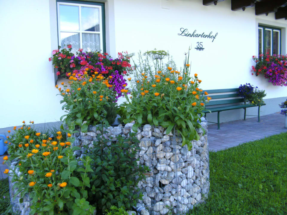 Kräuterschnecke Linharterhof Urlaub am Bauernhof