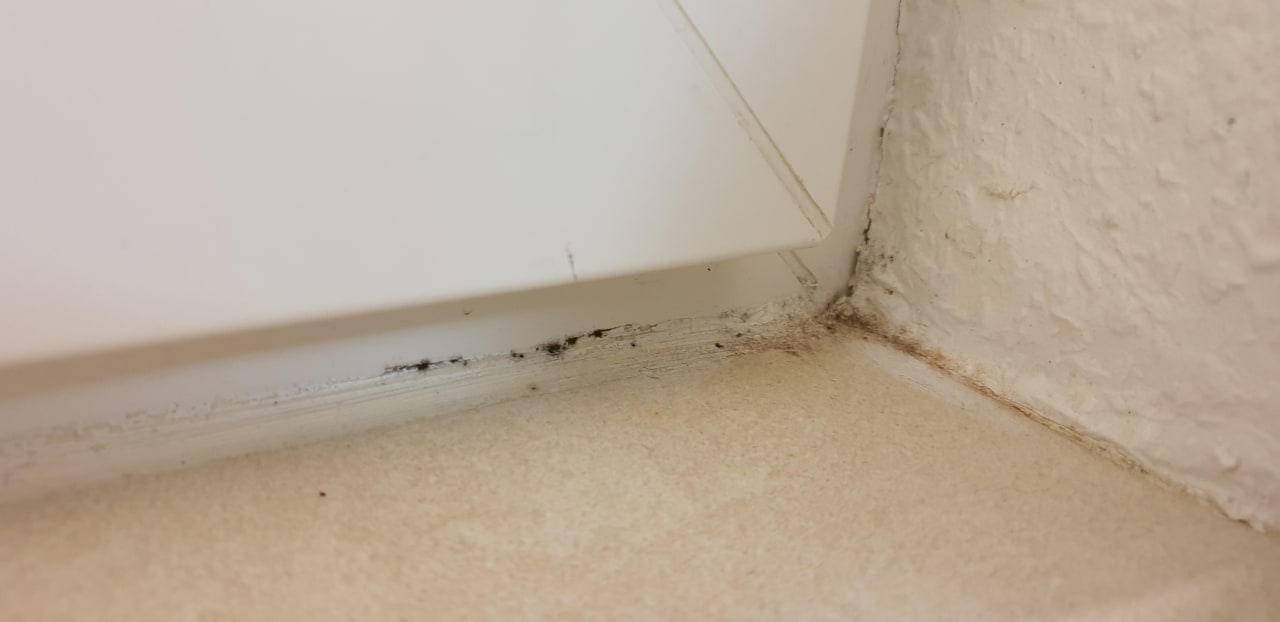 Zimmer Center Parcs Park Bostalsee