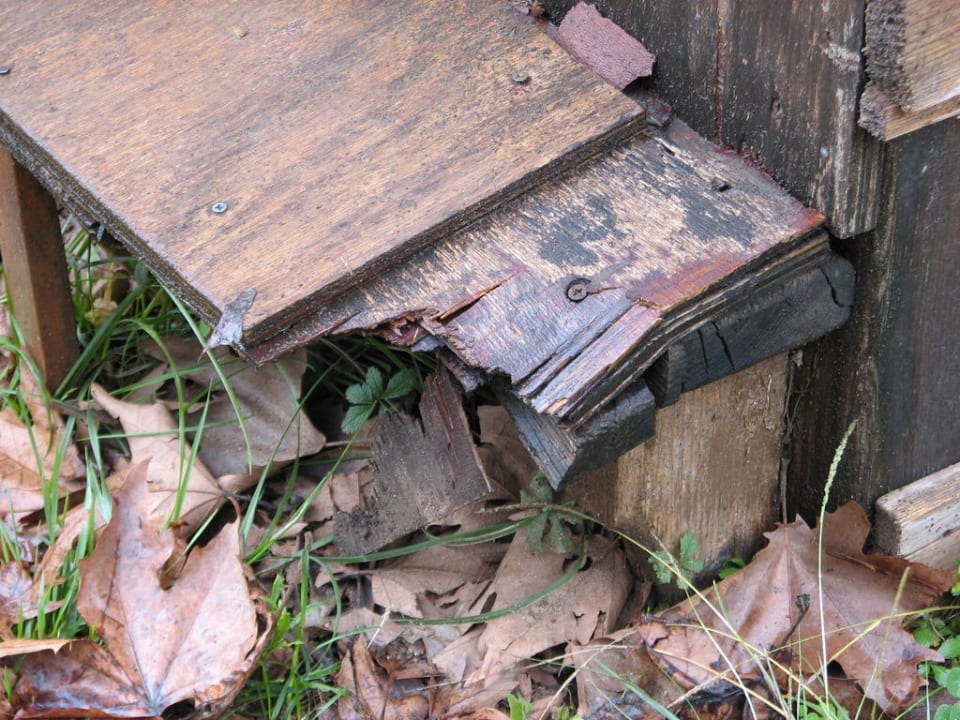 Kinderspielplatz Olympian Bay Grand Resort