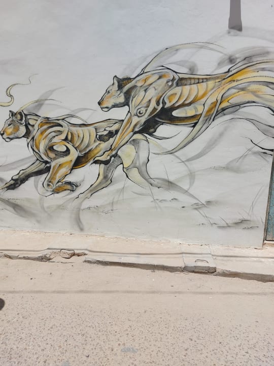 Außenansicht Iliade Aqua Park Djerba