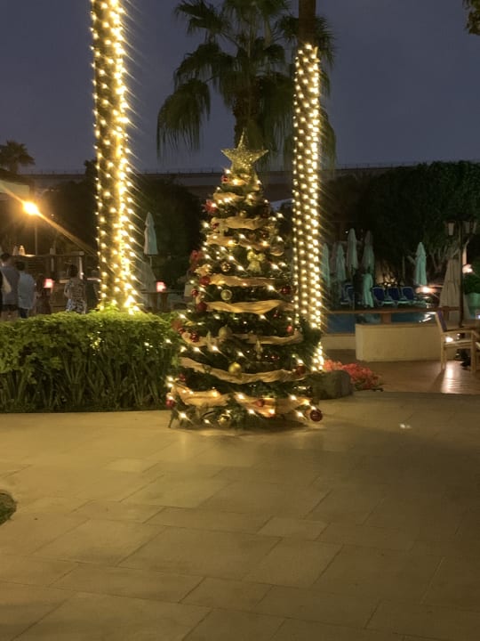 Garten Grand Hyatt Dubai