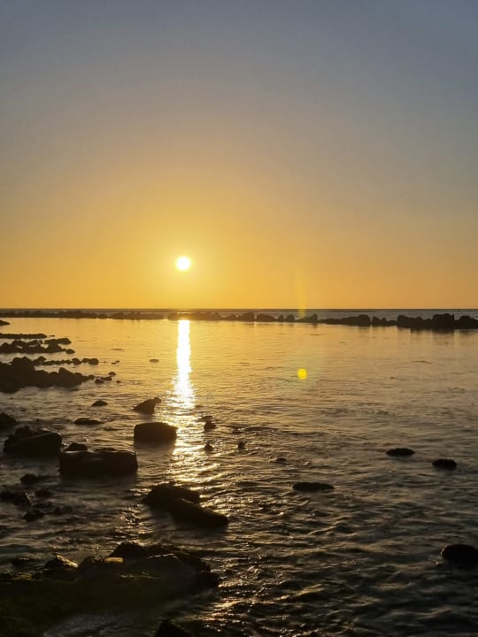 Ausblick The Westin Turtle Bay Resort & Spa