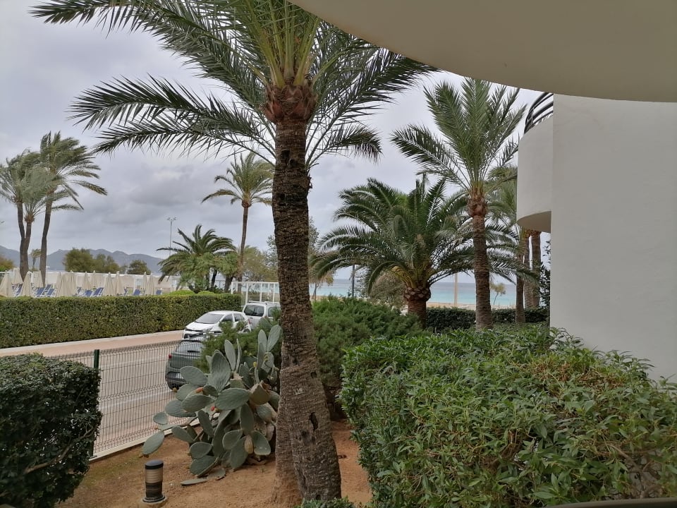 Gartenanlage Hipotels Dunas Cala Millor