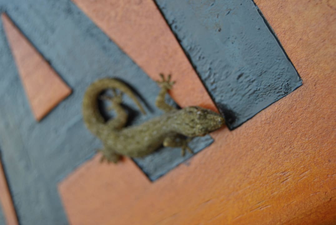 Kleiner Nachbar Veligandu Maldives Resort Island