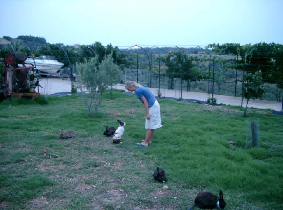 Geranion Village-Gartenanlage Hotel Geranion Village