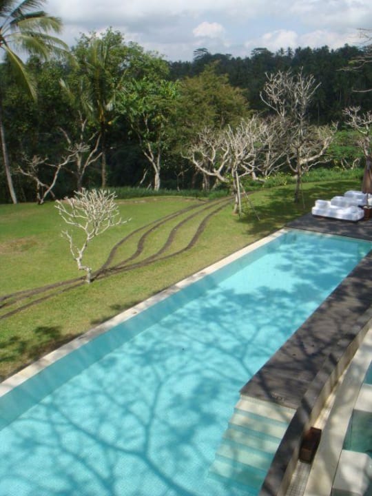 Lap Pool COMO Shambhala Estate