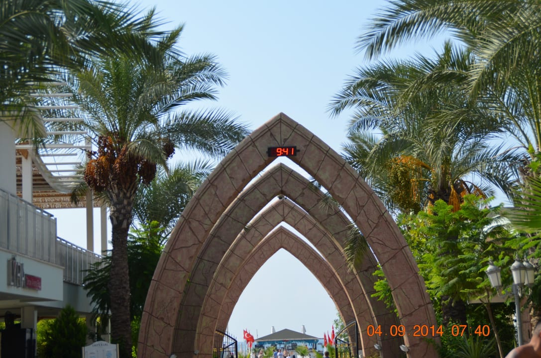 Pool Hotel Delphin Imperial