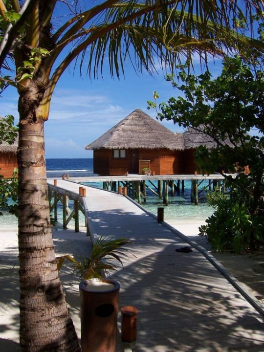 Einfach Traumhaft Mirihi Island Resort