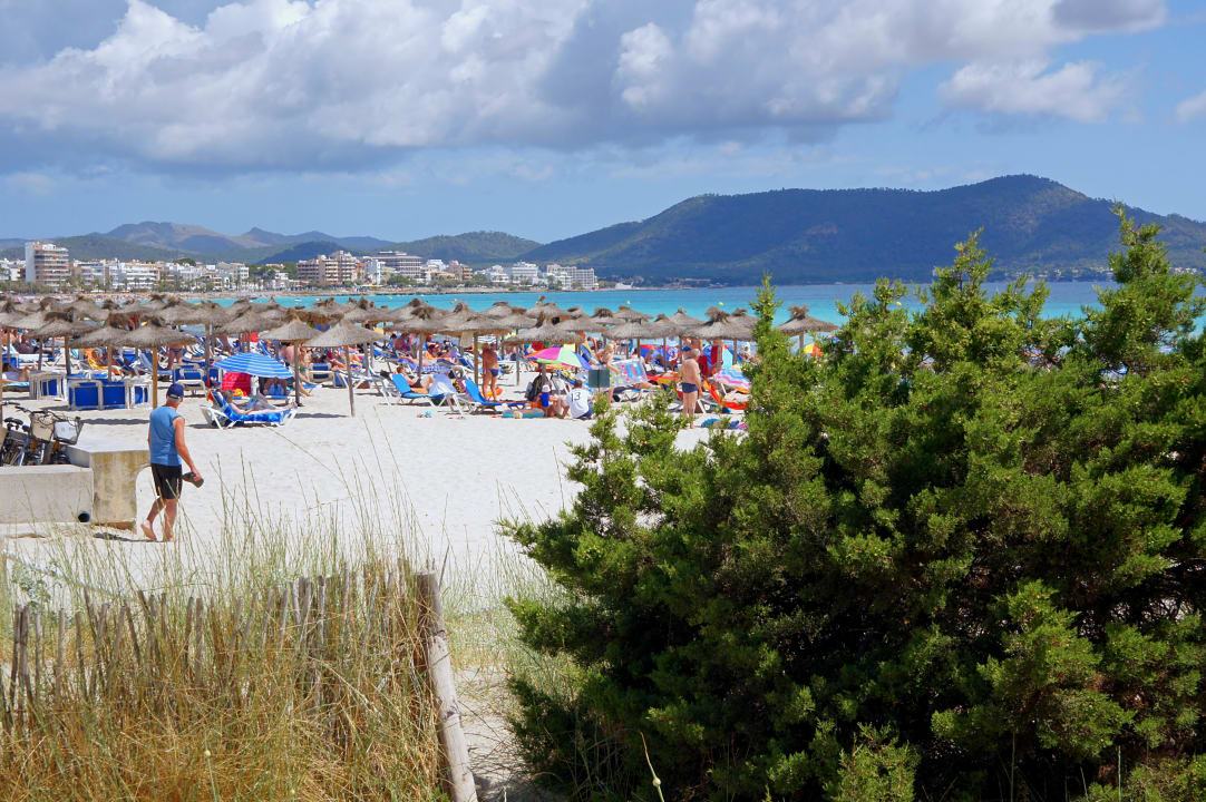 Strand direkt vor dem Hotel Hipotels Dunas Cala Millor