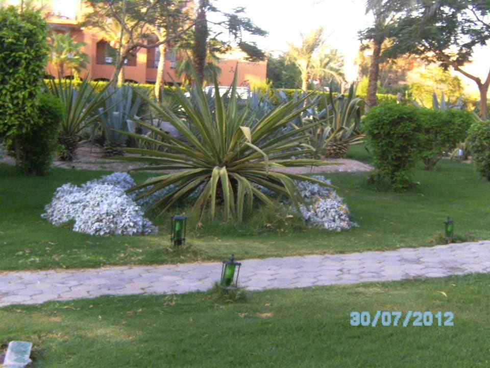 Garten Jaz Makadi Oasis Resort