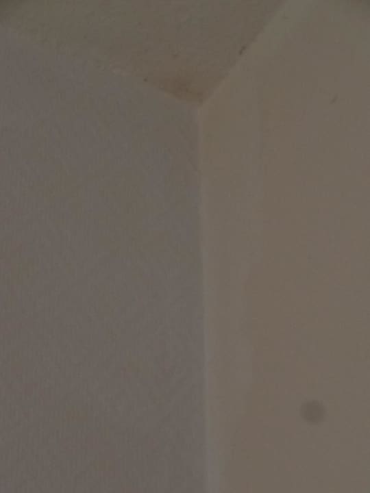 Überpinselter Schimmel in Zimmerecke AKZENT Hotel Aufkirchen