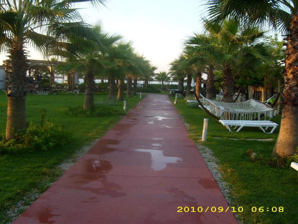 Weg zum Strand Saturn Palace Resort Hotel