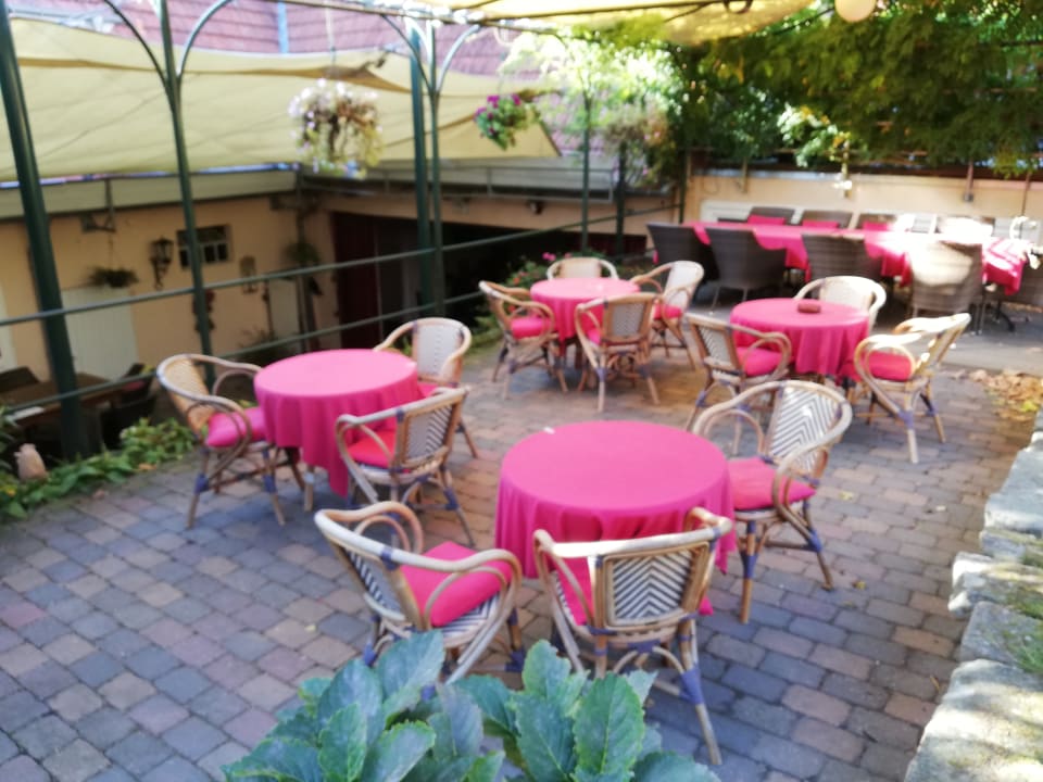 Gartenanlage Gästehaus Hennekens Hof