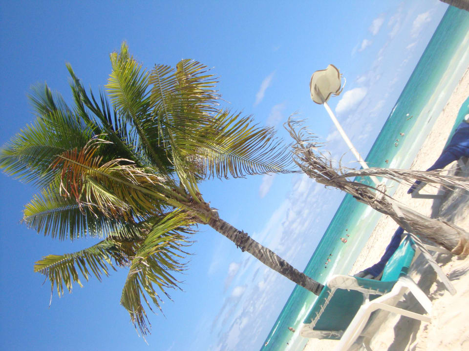 Hotel Catalonia Playa Maroma Catalonia Playa Maroma