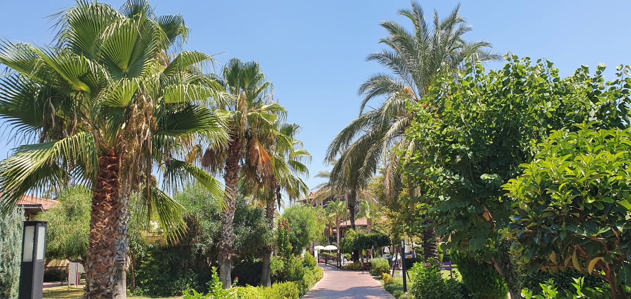 Gartenanlage TUI KIDS CLUB Felicia Village